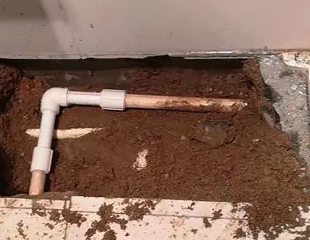 中山测漏水哪家好