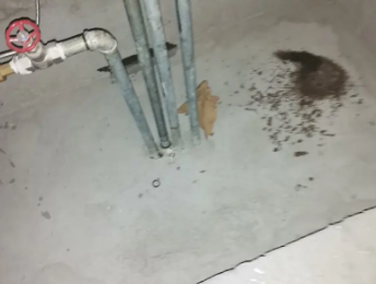 中山卫生间测漏水价格明细